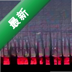 天知地知(Nobody Knows)下载电脑版