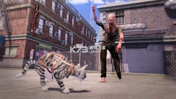 Max and Maya猫咪模拟器 下载电脑版 截图