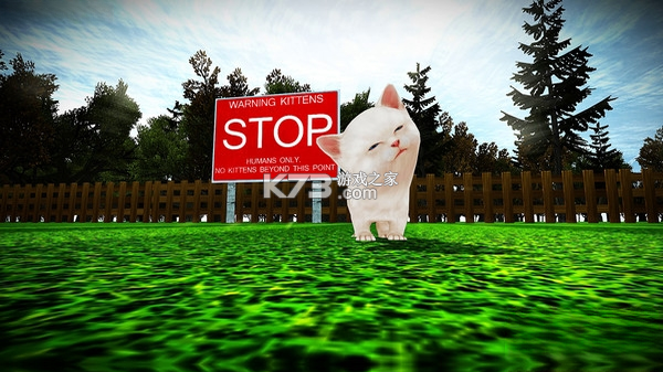 小猫的狂暴 免费下载 截图