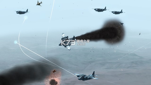 空中守护者 游戏下载 截图