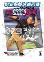 职业保龄球巡回赛2001官方版