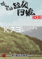 佐贺的超级阿嬷DS电脑版下载