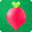 叮咚买菜app骑士版下载v13.10.1
