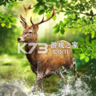 狩猎冲突游戏v5.34.1