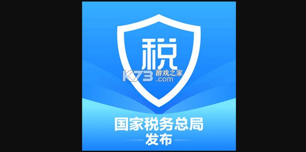 个人财税记查 v1.0.0 下载官方版 截图