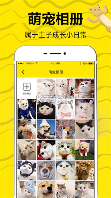 猫咪翻译官 v1.0.0 下载手机版 截图