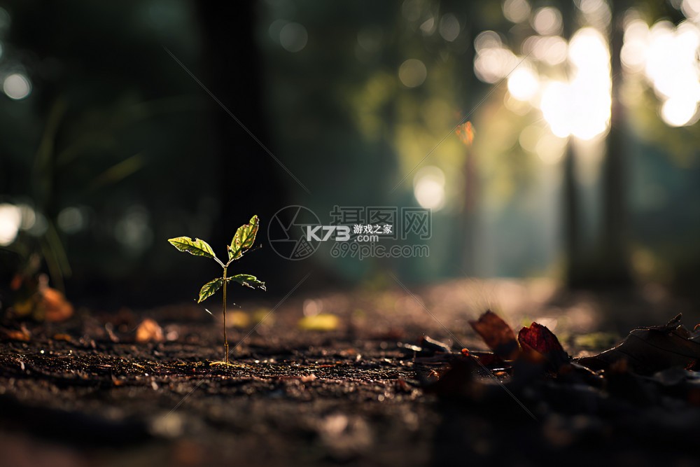 小绿芽孩子端 v1.0.8 官方app下载安装 截图
