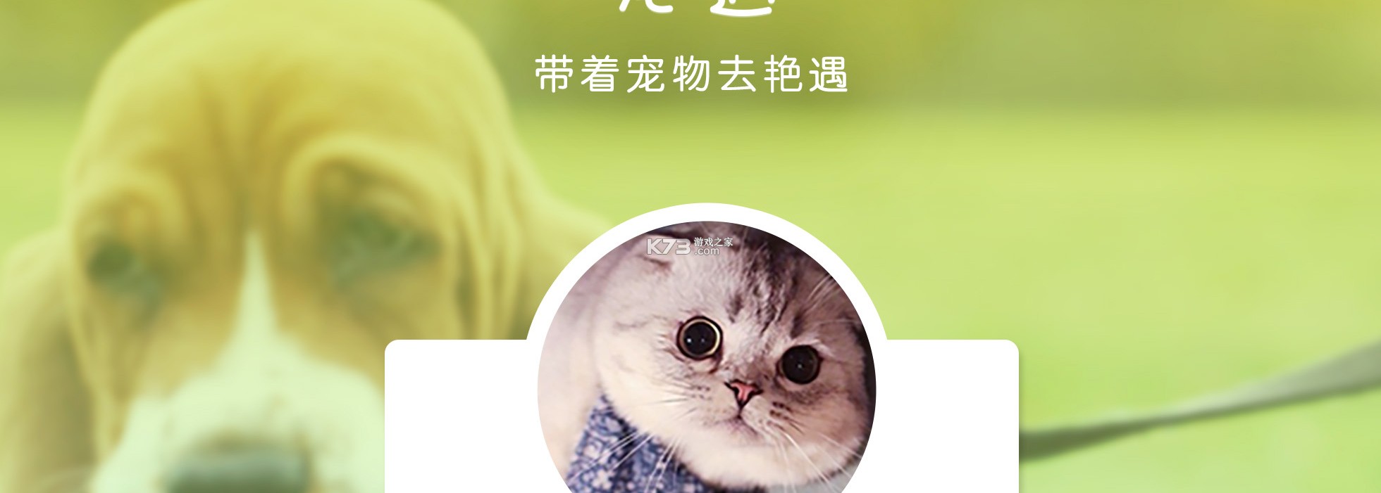 宠遇 v1.3.8 app下载免费 截图
