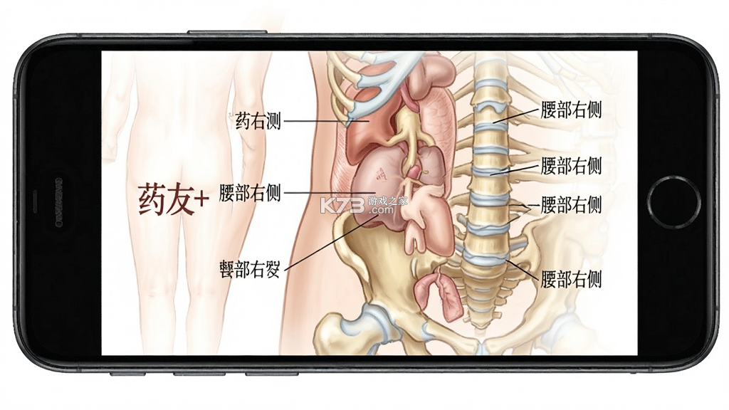 药友+ v2.1.2 安卓app安装下载 截图