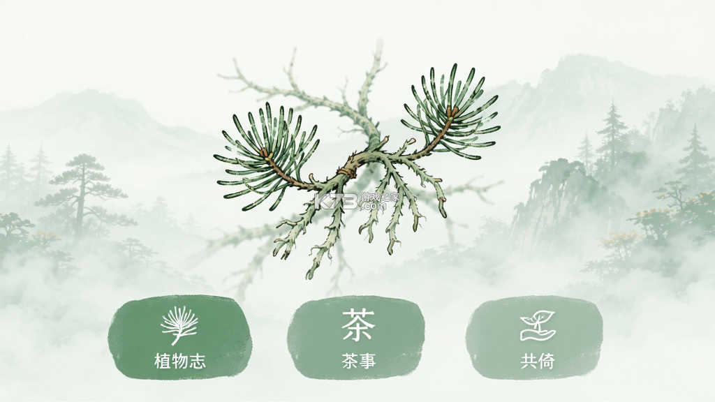松萝 v1.3.61 安卓app安装下载 松萝 v1.3.61 安卓app安装下载