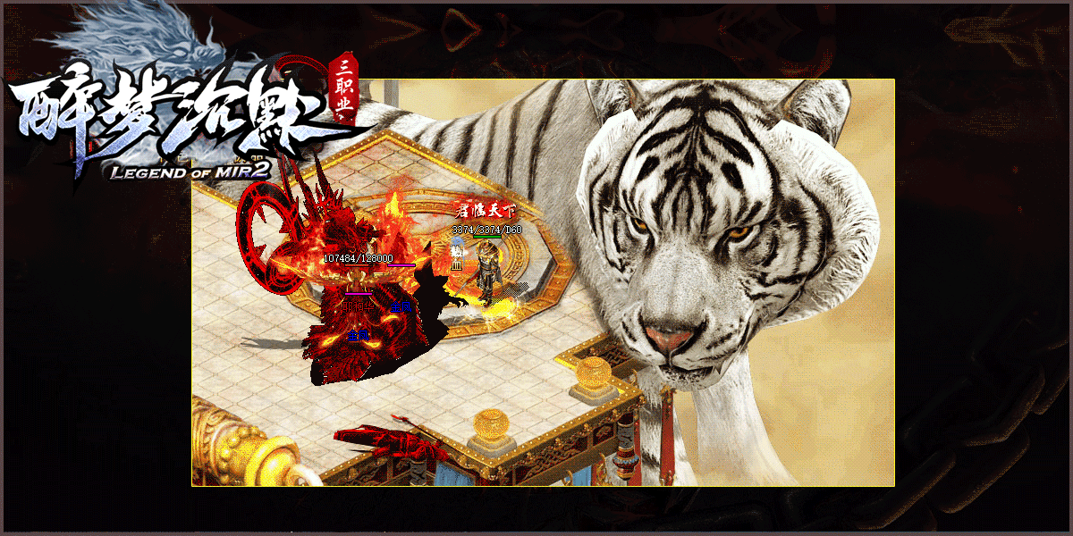 醉美马尔康 v1.20 app下载安装 截图