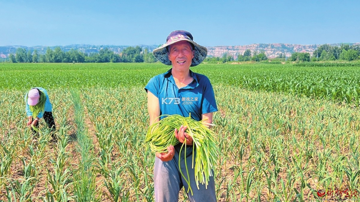 蒜来蒜去收货版HD v1.1.6 app下载免费 截图