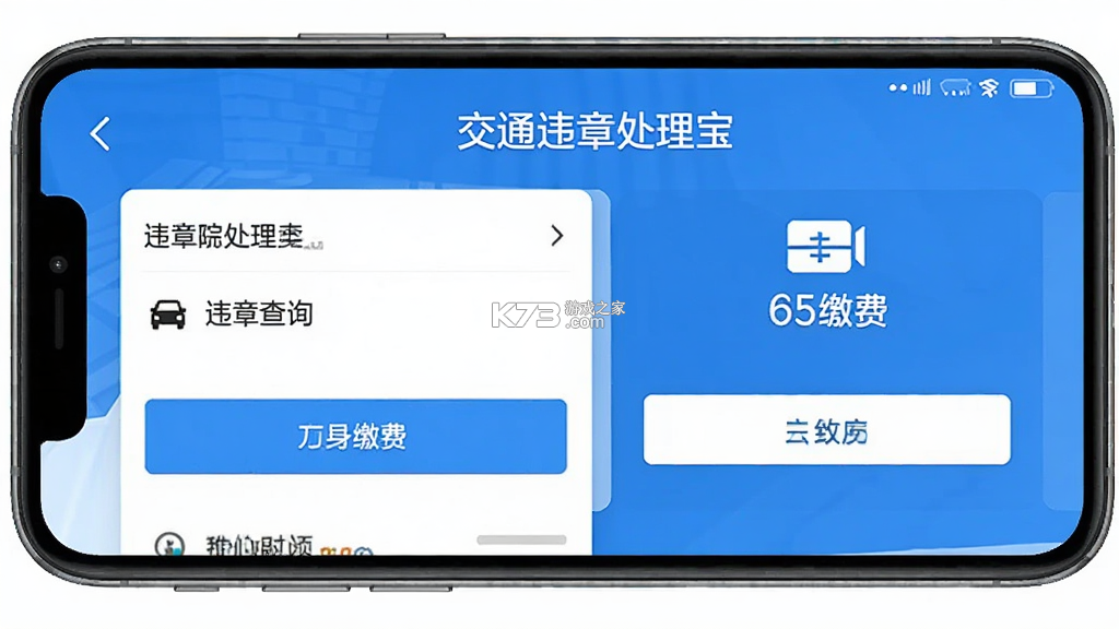 交通违章处理宝 v1.0.1 app下载免费 截图
