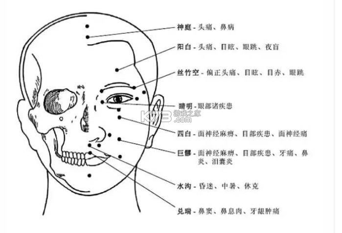 循经百问 v0.8.9 安卓app安装下载 截图