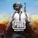 pubg日韩服下载官方正版v4.6.0