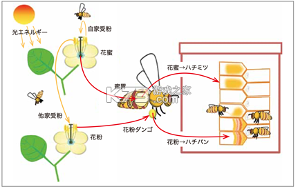 诗柚古文AI学习助手 v1.2.0003 安卓下载软件 截图