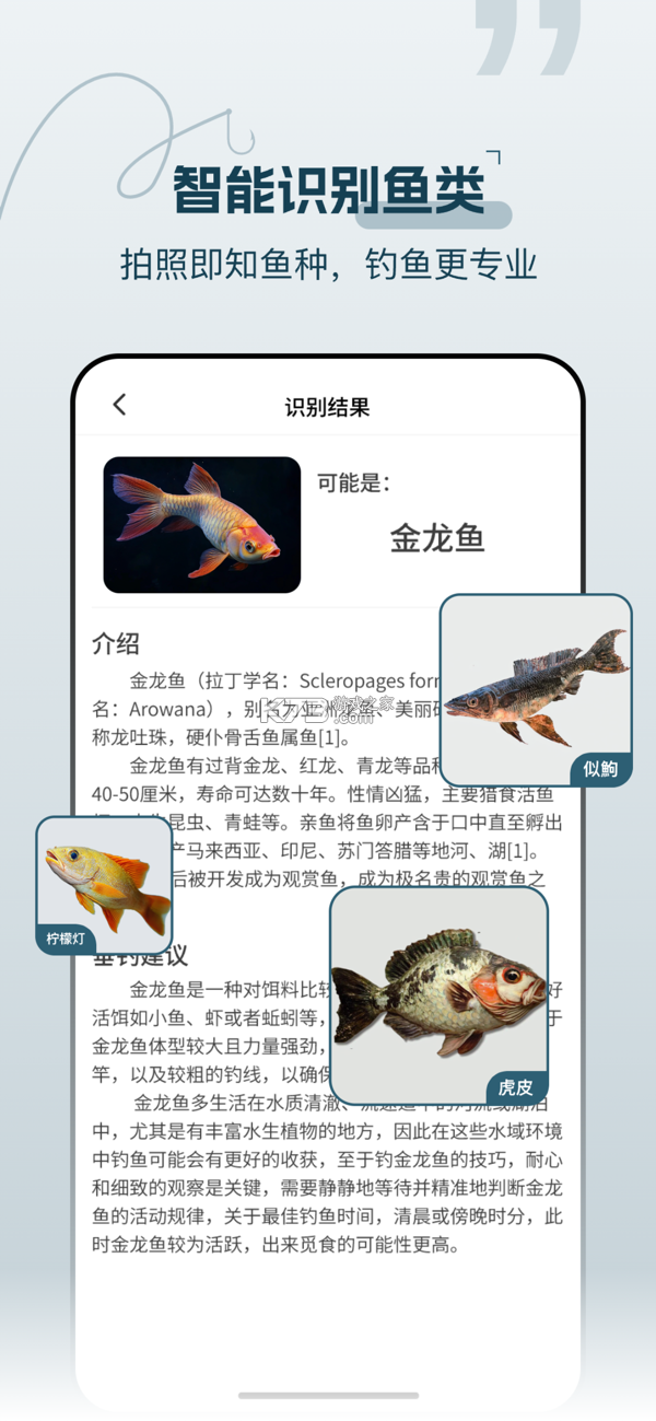 野钓钓点地图 v1.0.1 安卓下载软件 截图
