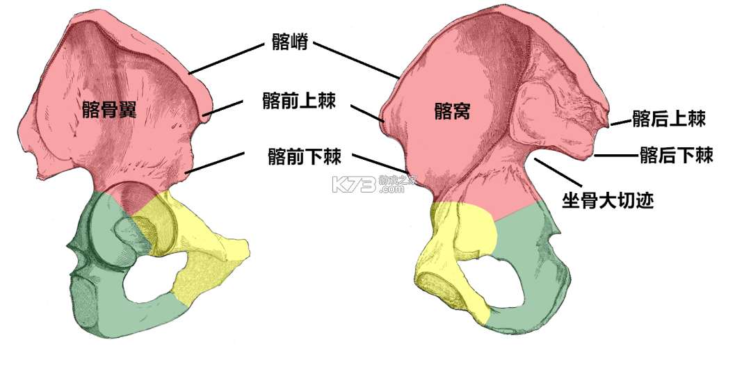 合并猫咪小镇 v2.2.9 下载手机版 截图