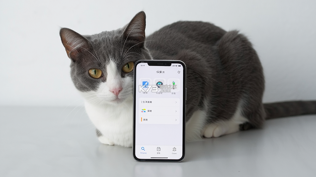 野猫 v2.0.3 安卓下载软件 截图
