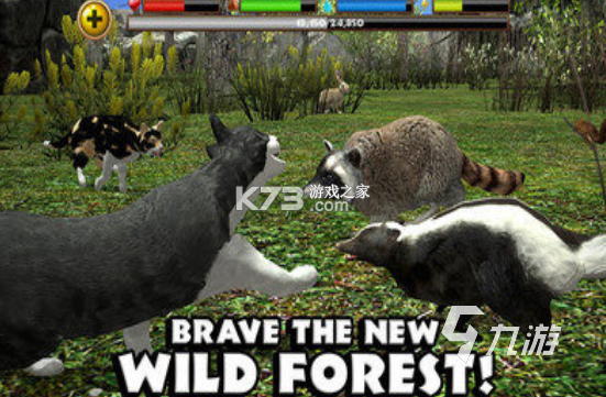 野猫 v2.0.3 安卓下载软件 截图