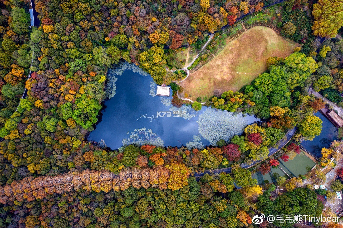 紫金山 v10.0.2 下载官方版 截图