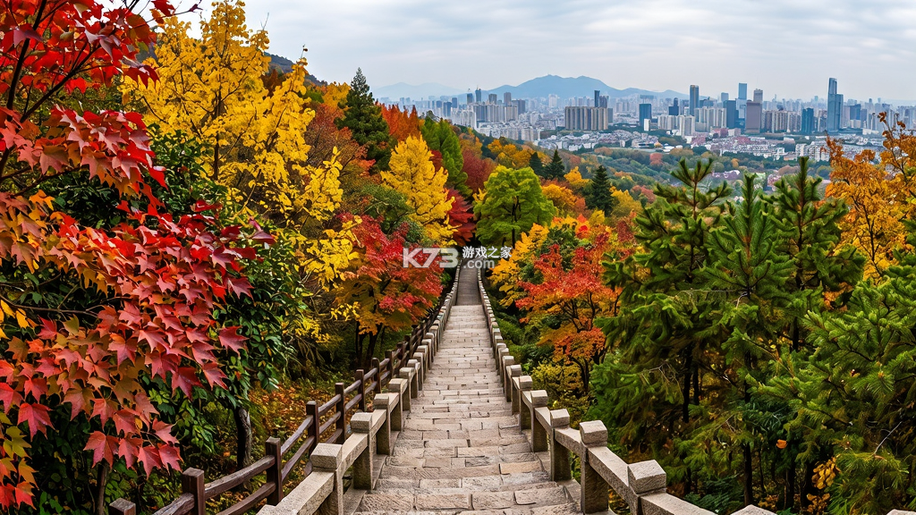 紫金山 v10.0.2 下载官方版 截图