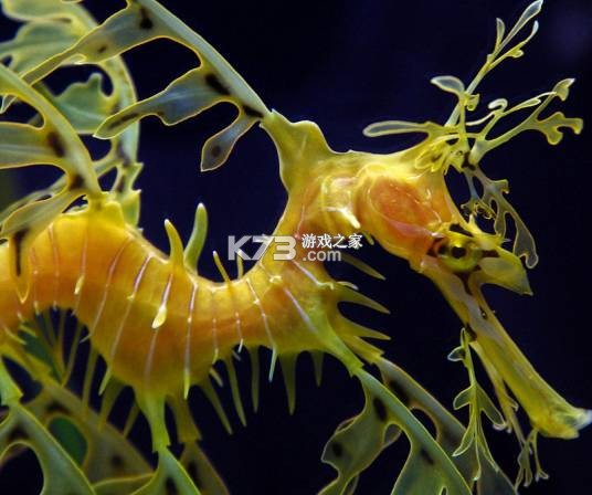 海龙运力宝 v2.5.1 下载安装 截图