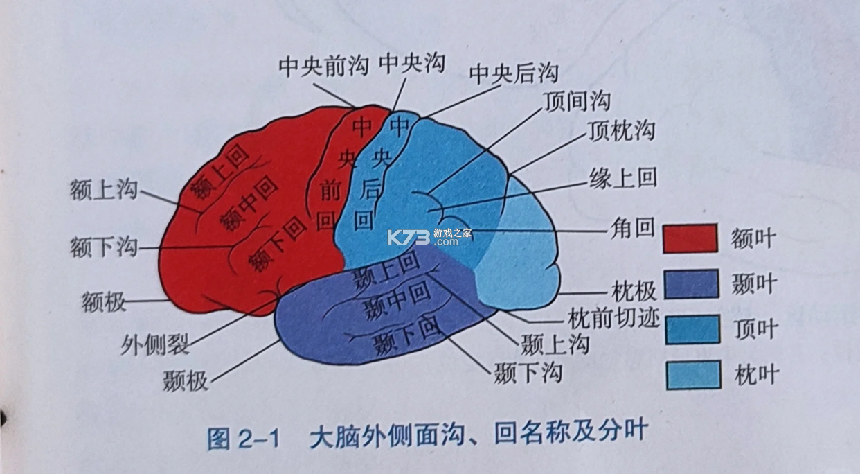 微美客美店管理系统 v4.0.3 官方app下载安装 截图