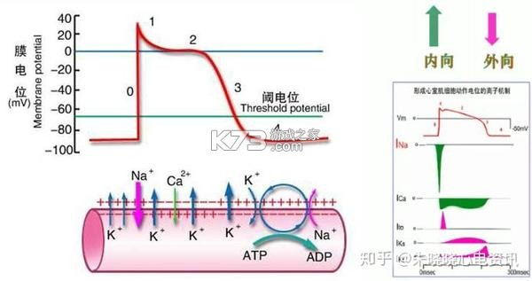 意练 v1.0.11 下载手机版 截图