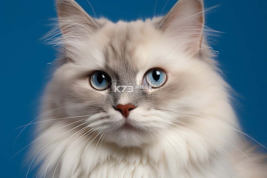 iPilton v1.2.2 安卓下载软件 截图
