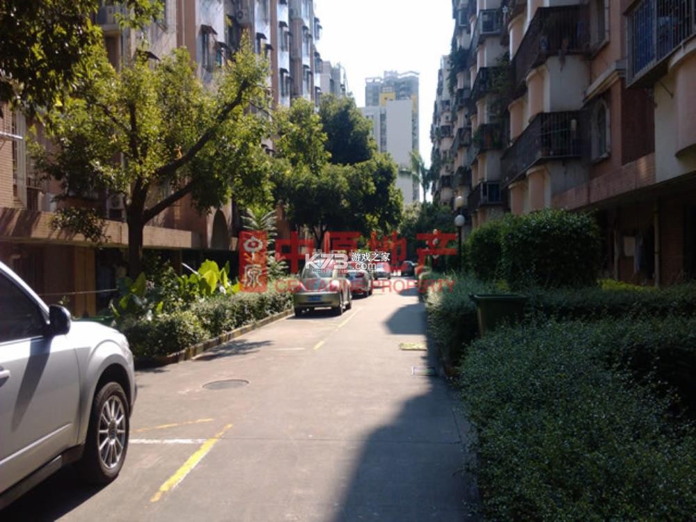 精读圣诗 v1.5 安卓下载软件 截图