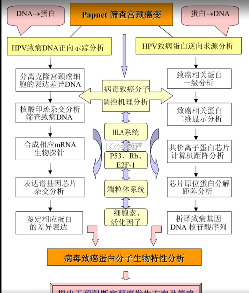 仙凡幻想 v2.8.5 安卓下载 截图