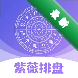 紫薇排盘下载官方版v3.1.1