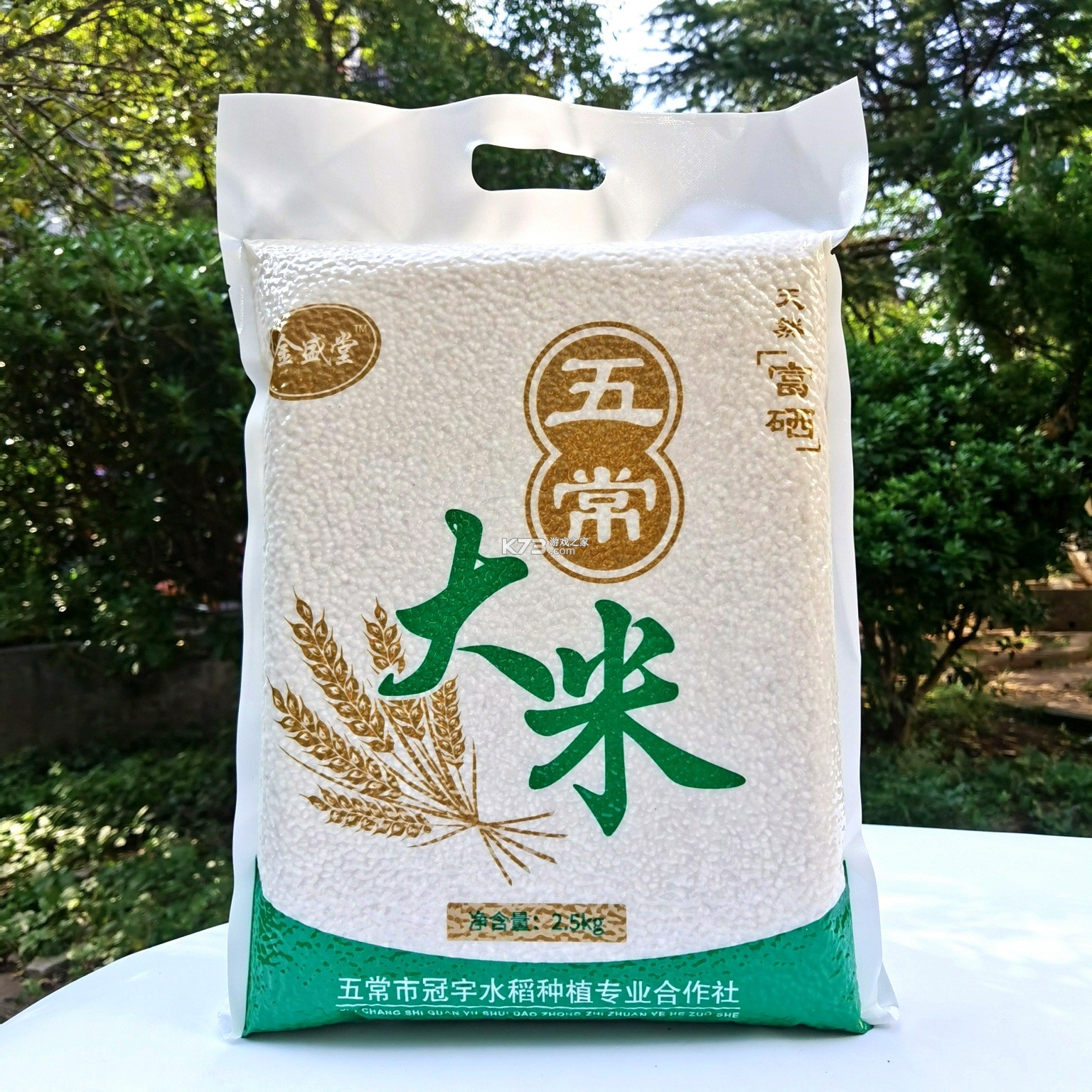 真实驾驶：汽车城市 v1.02 安卓下载软件 截图