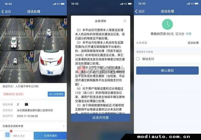 交通违章处理帮手 v1.0.0 安卓下载软件 截图