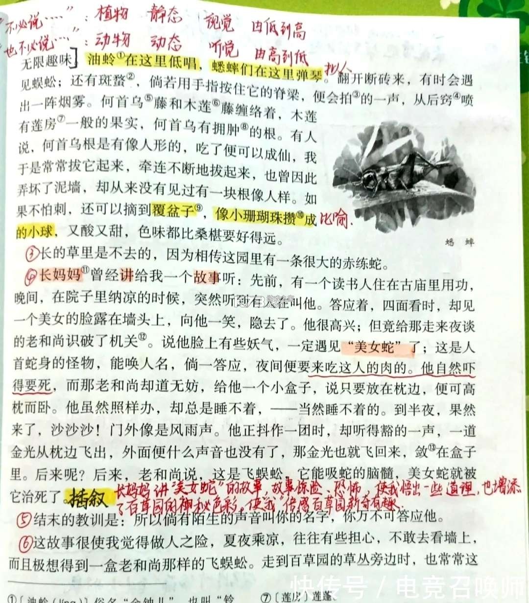 七年级语文上册 v3.1064.39.2 安卓下载软件 截图