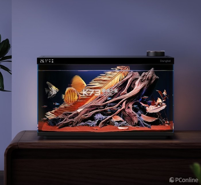 当贝鱼缸 v1.2.4 下载手机版 截图