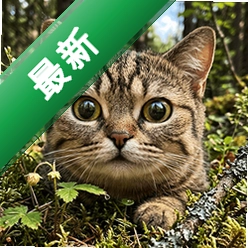 小猫咪生存冒险下载官方正版v14.41.5