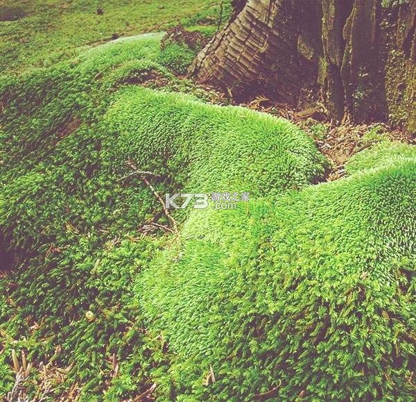 苔米花护听器 v1.0.0 官方app下载安装 截图