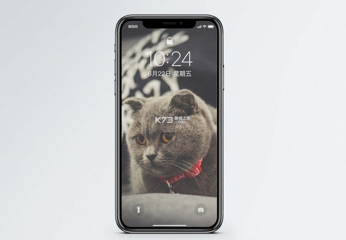 问玄猫 v1.1.1 下载官方版 问玄猫 v1.1.1 下载官方版