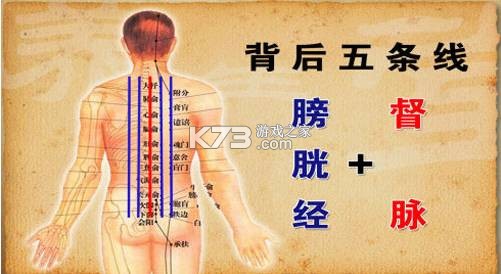 经络养生 v4.1.6 安卓app下载 截图