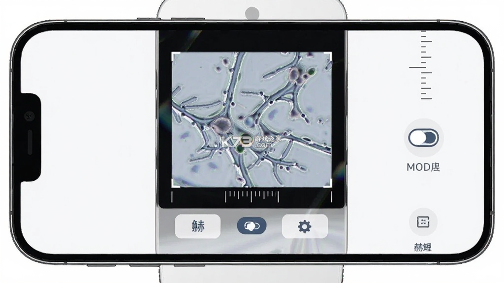 赫鲤显微镜 v2.2.41 官方app下载安装 截图