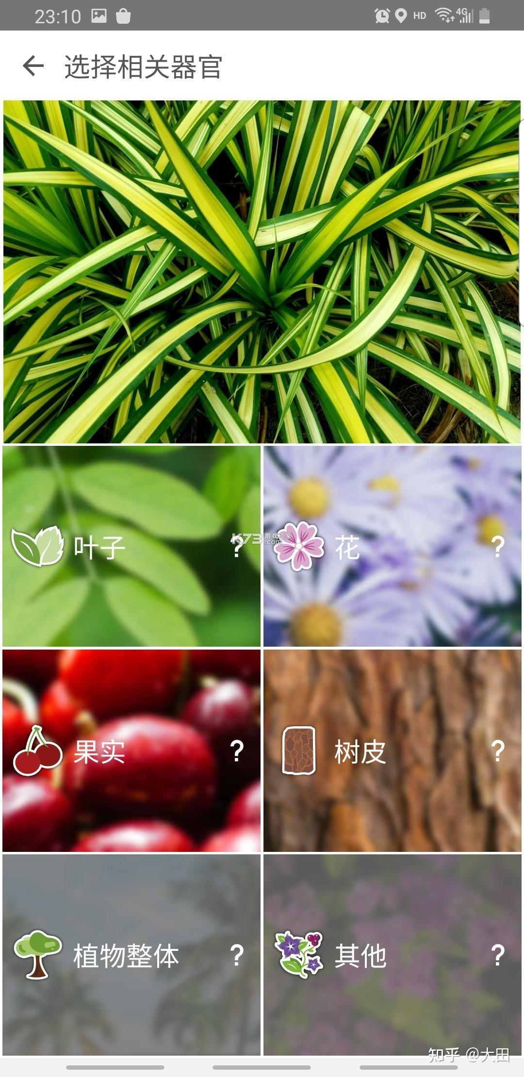 地林林 v1.3.1 app下载 截图