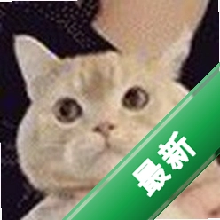 小璐连点器安卓app下载v1.9.7