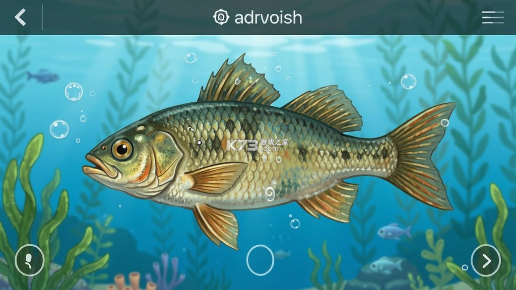 格式鱼 v1.0.4 下载官方版 截图