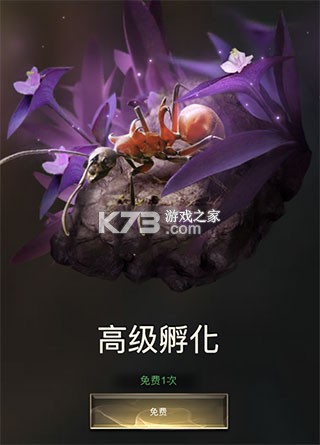 小小蚁国 v3.0.60 官方版