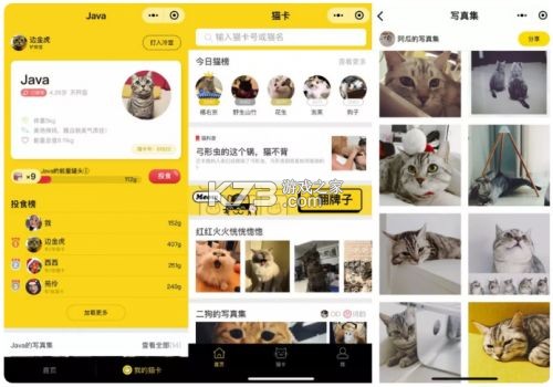 PetPandora宠物社区 v1.0.8 安卓app下载 截图