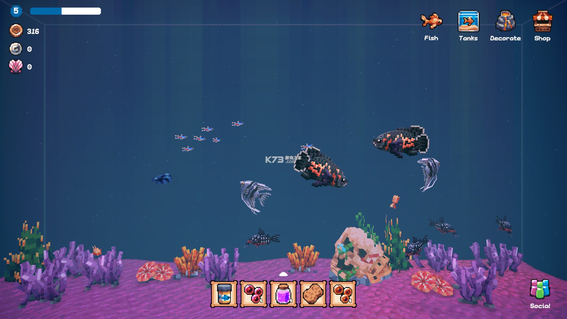 Tiny Aquarium(全球鱼友俱乐部) v1.19.42 下载官方版 截图