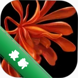 栖家 v3.2.10 app下载免费