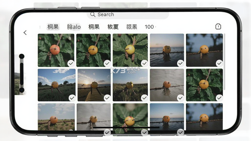 桐果 v4.2.2 安卓app下载 截图